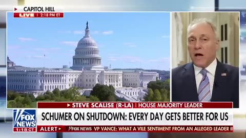 ‘IT’S GOT TO END’_ Scalise CALLS OUT Schumer over shutdown stalemate