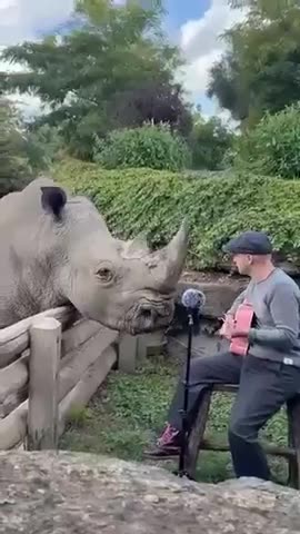 No way!! Music is frequency that can communicate, bring peace & HEAL! love wins