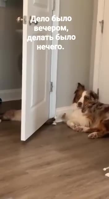 Rock paper scissors 🤣