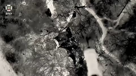 Phoenix unmanned systems unit destroyed occupiers near Lyman