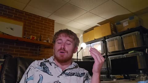 Lion Diet Sleep Optimization： Day 4 ~ What The Heck Am I Doing？