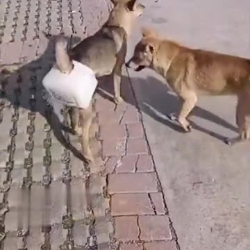 More effective than a condom