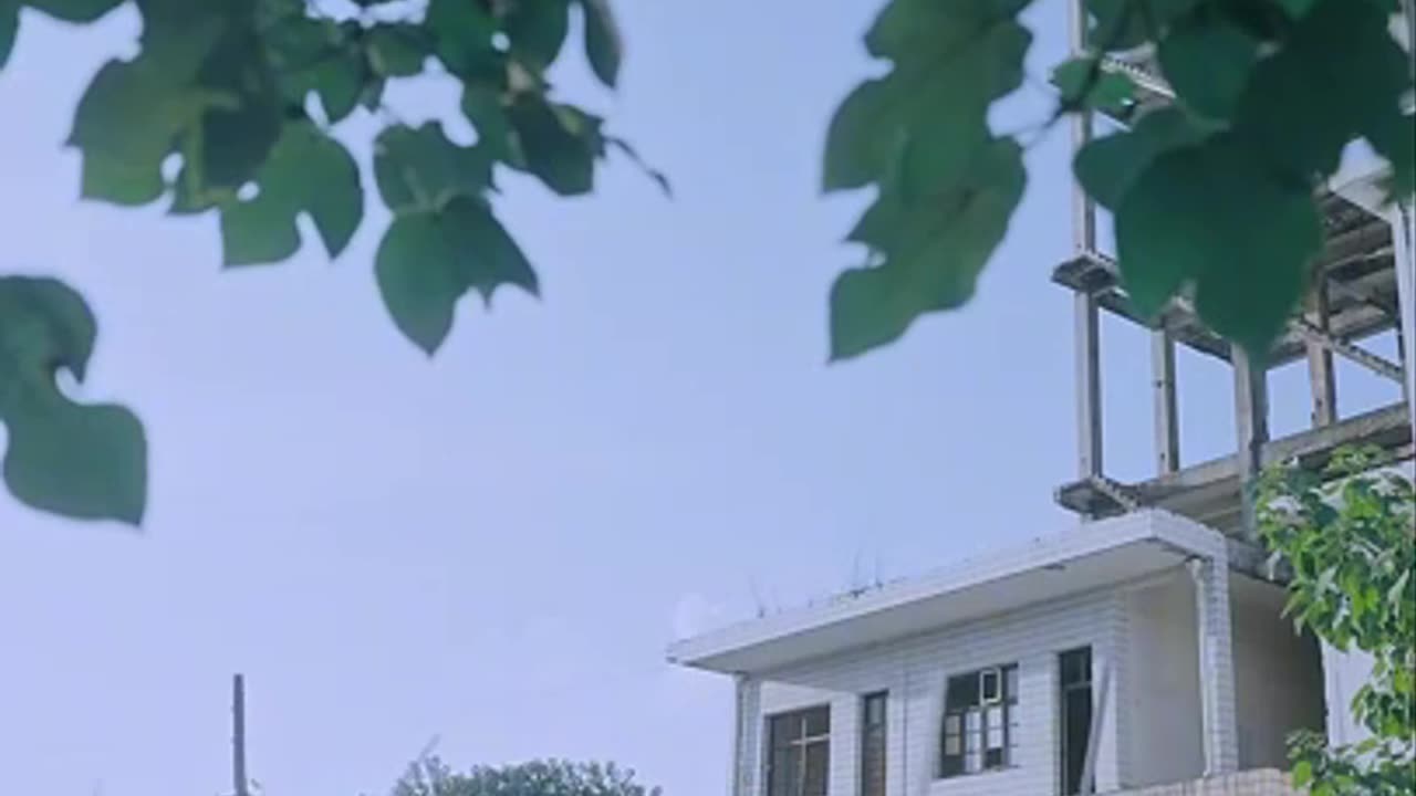 TẬP 4 : CHÀNG TRAI VỪA MỚI RA TÙ THÌ CÓ 9 CÔ GÁI MUỐN GẢ CHO ANH TA