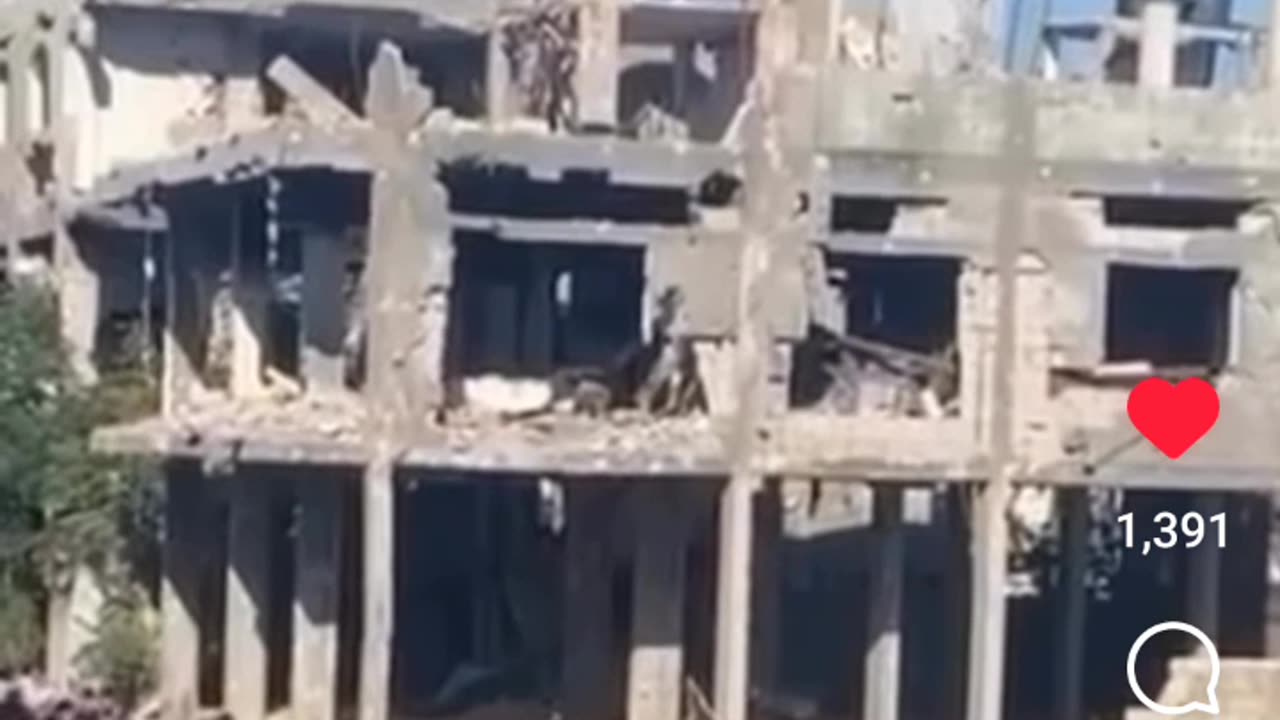 Christmas Day In Palestine