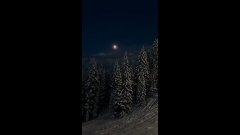 REBEL JIMS 2nd WOLF MOON