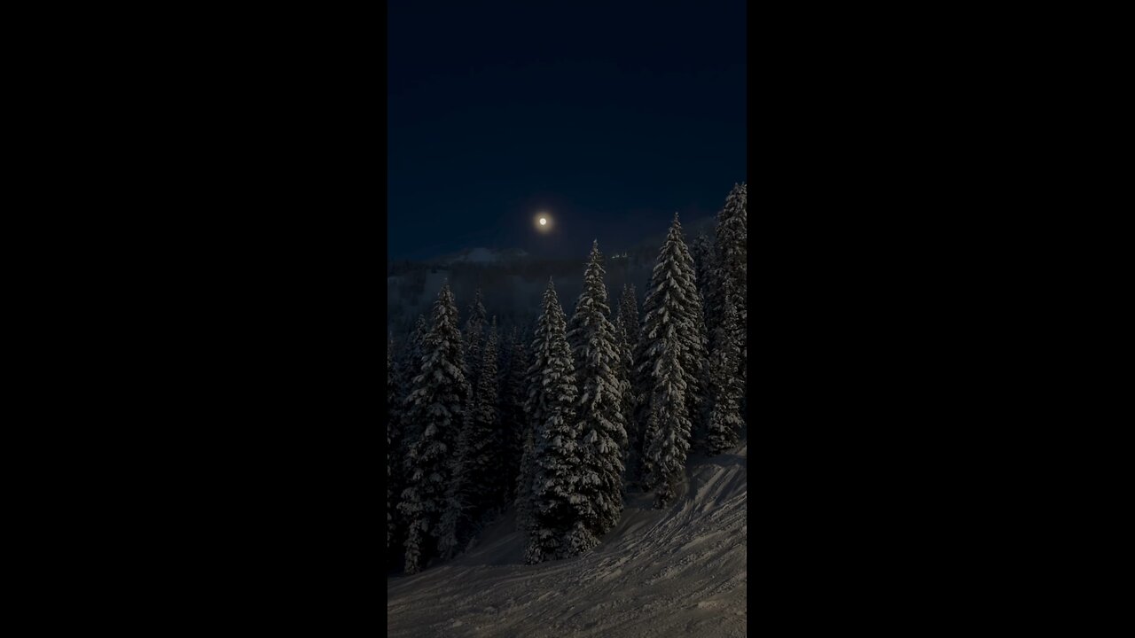 REBEL JIMS 2nd WOLF MOON