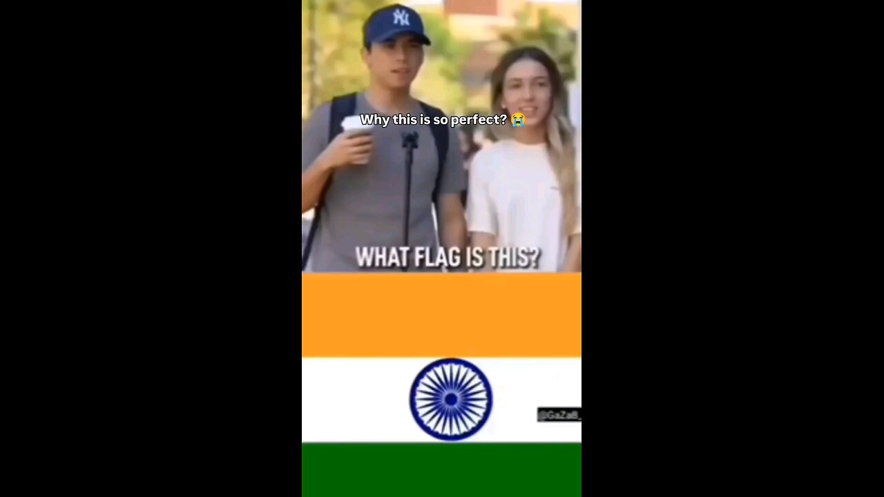 🤣😹