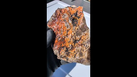 Plume Agate!