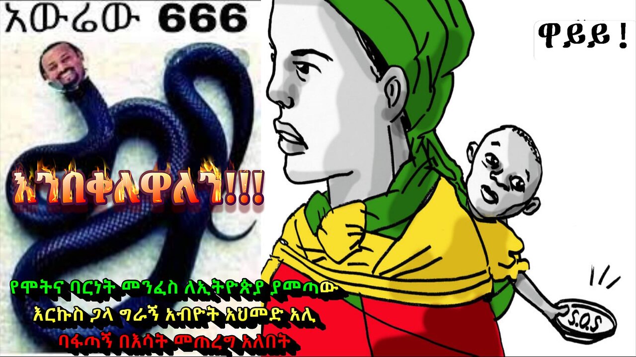 Ethiopia: The Weaponized Womb: Mapping Reproductive Violence as a Tool of Ethnic Cleansing