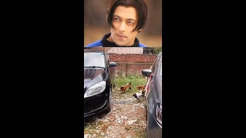 Salman hair style for a cock