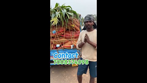 popcorn farming in Odisha