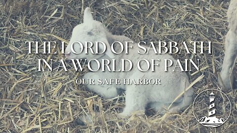 Sunday Worship: The Lord of Sabbath in a World of Pain - Behold the Lamb part 8 (2-23-25)