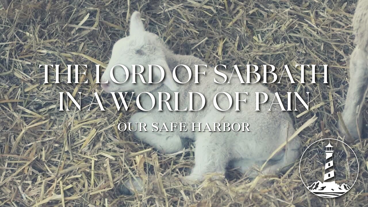 Sunday Worship: The Lord of Sabbath in a World of Pain - Behold the Lamb part 8 (2-23-25)