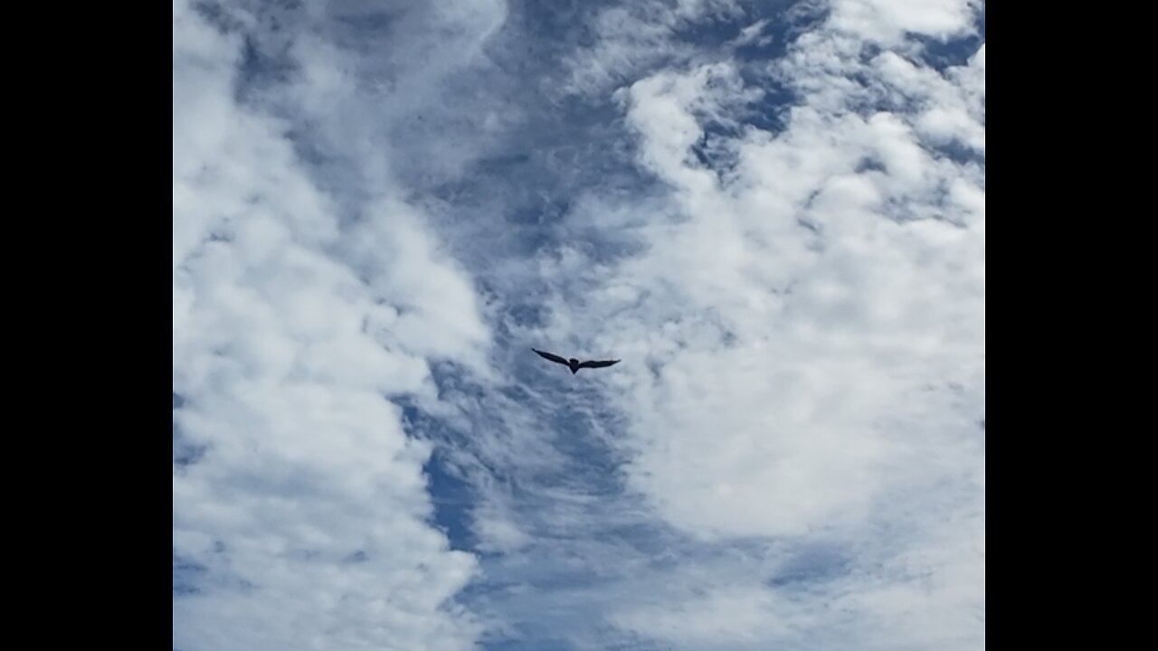 🦅 One Thing Leads To Another - The Fixx 🦅