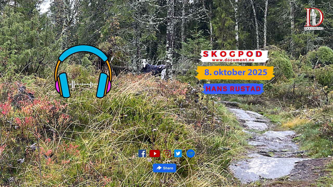 Skogpod 8. oktober 2025