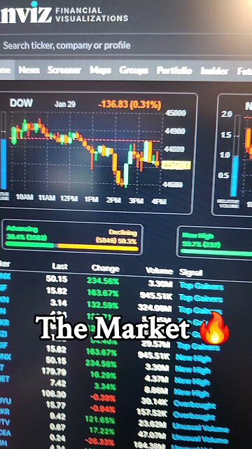 The MARKET 🔥