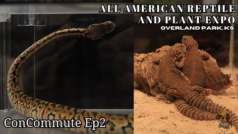 What I liked at the All American Reptile and Plant Expo | ConCommute Ep2