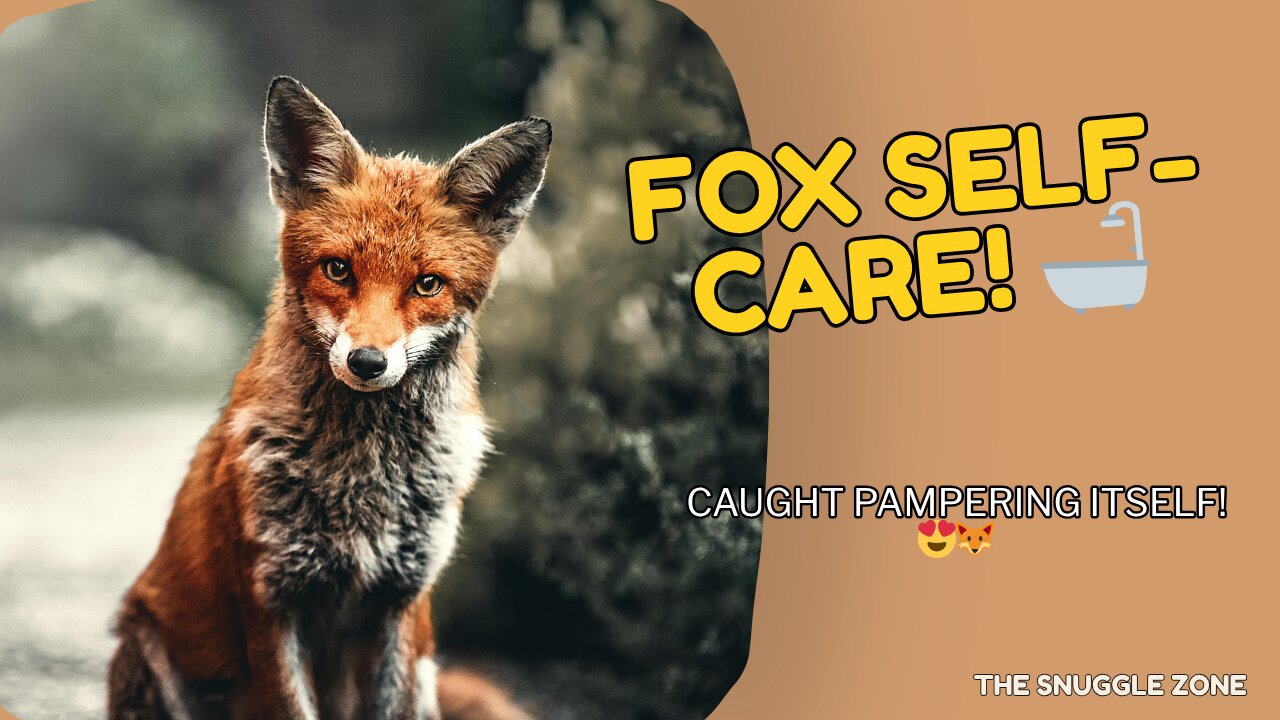 FOX SELF-CARE MODE ON 🦊💦 | Adorable Red Fox Grooms & Rolls Around