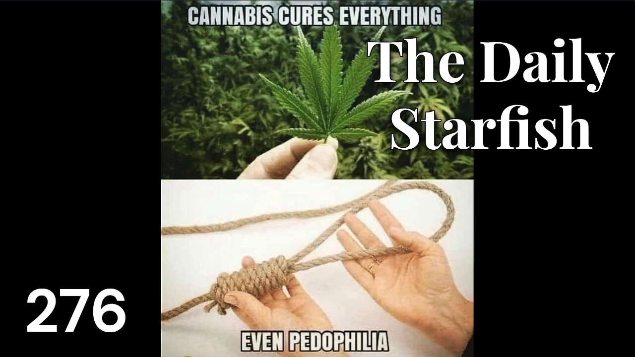 The Daily Starfish #276