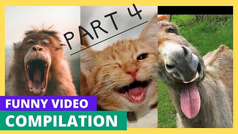 Funny animals video#animal #pet #animalphotography #animallovers #nature #wildlifephotograph #animal