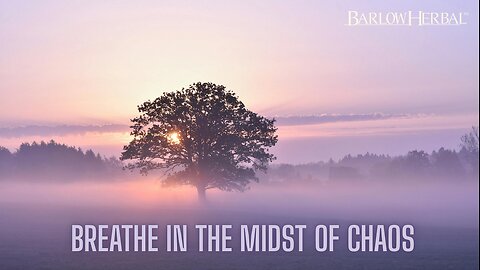 Time to Sync with Mother Earth