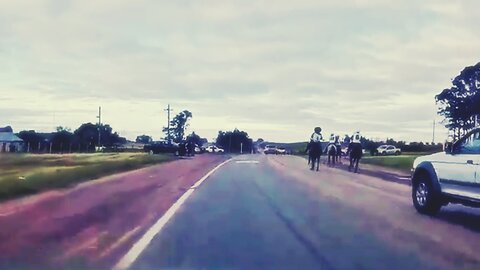 El Chasque para Caballos Criollos - Agremiación Criadores Caballos Criollos - Cerro largo 28/09/2025