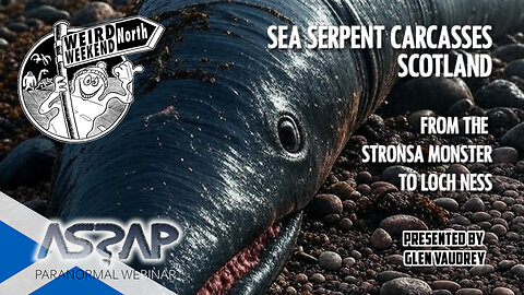 Sea Serpent Carcasses of Scotland | Glen Vaudrey