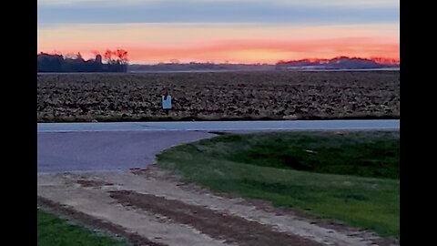 Brisk Fall 🍁 Sunrise