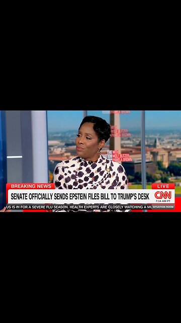 CNN GRILLS Plaskett Over 2019 Epstein Texts