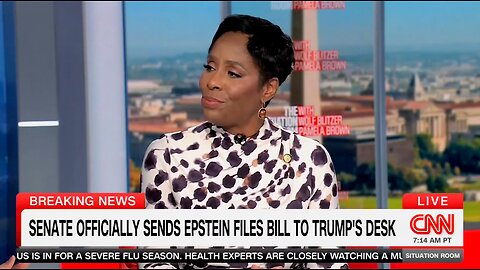 CNN GRILLS Plaskett Over 2019 Epstein Texts