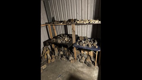 Some of the unbelievable collection so far.