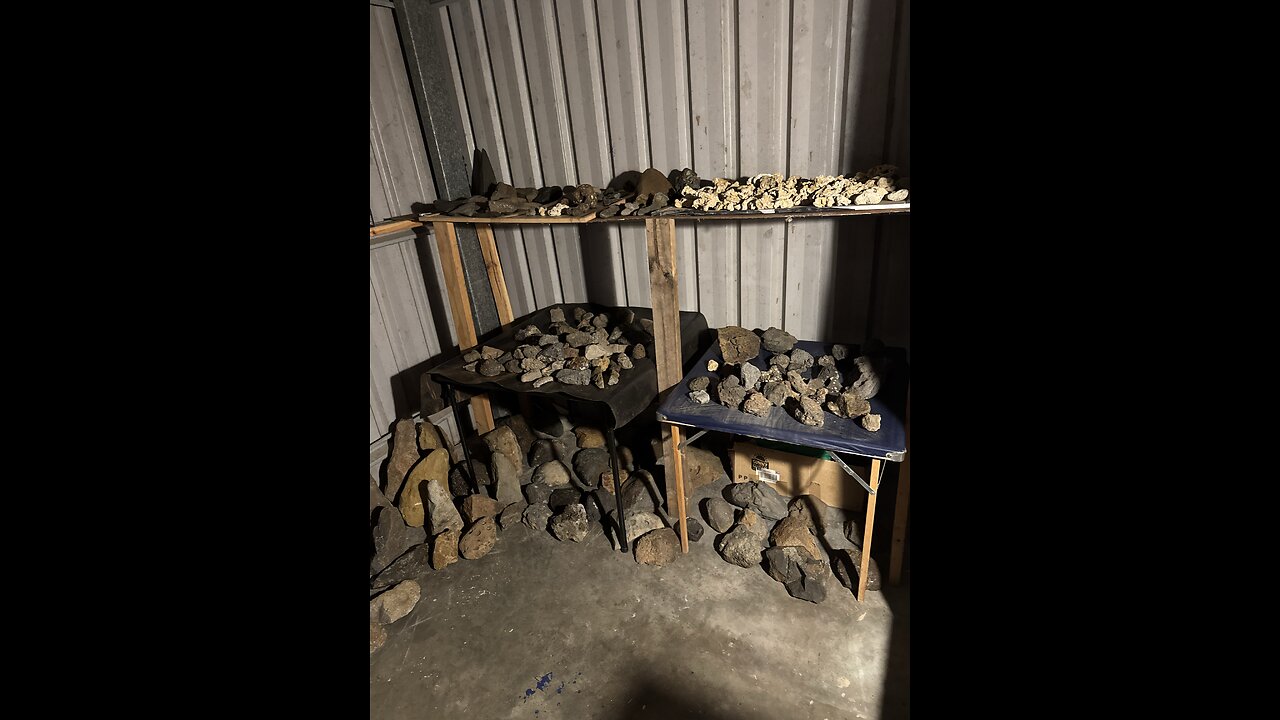 Some of the unbelievable collection so far.