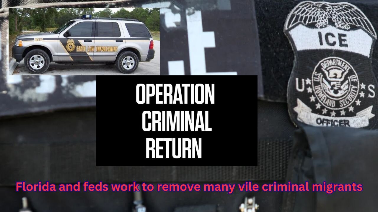 Florida works with feds for large operation to remove worst of the worst criminal migrants