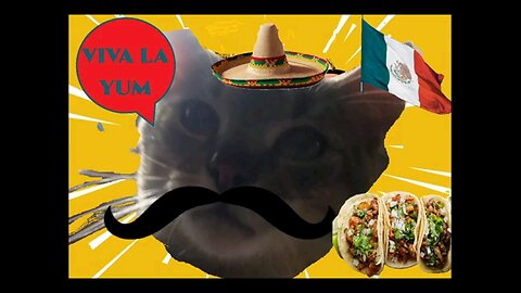 Cooking Tacos with Mr Handsome Kitty Cat DELICIOUS