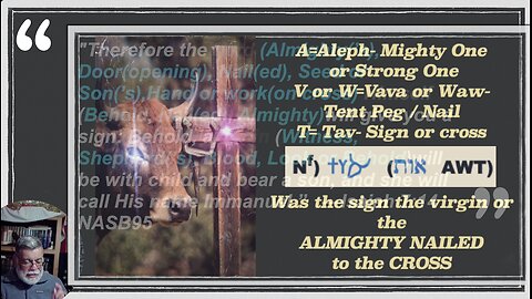 12 Days of Christmas Pt. 2 |Christmas Series 2025-26