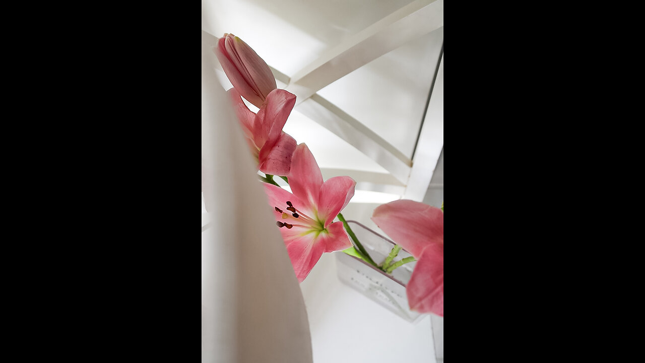 How to keep flowers longer 🤍