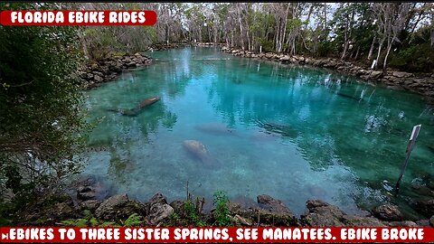 Bike ride to Three Sisters Springs, see the Manatees, Goats and other animals. Ebike PAS broke