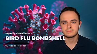 Bird Flu Bombshell: Exposing Biolab Secrets w/ Nicolas Hulscher [Ep. 66]