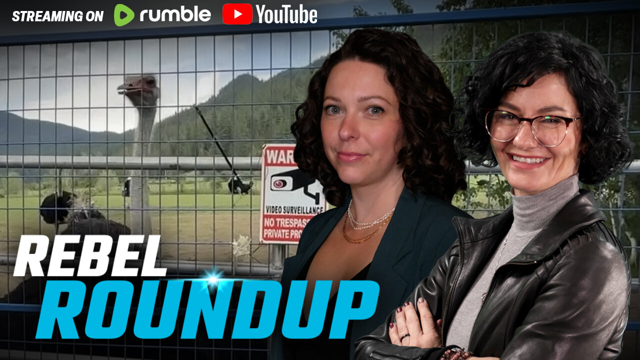 Live from ostrich farm, Trump lists Antifa as terrorists, Poilievre calls out Carney | Rebel Roundup