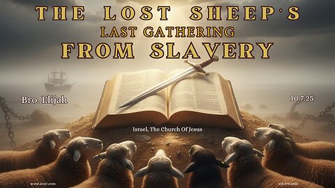 THE LOST SHEEP'S LAST GATHERING FROM SLAVERY