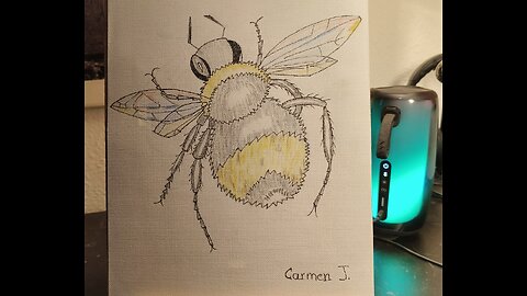 BUMBLEBEE - HUMLEBI - ABEJORRO