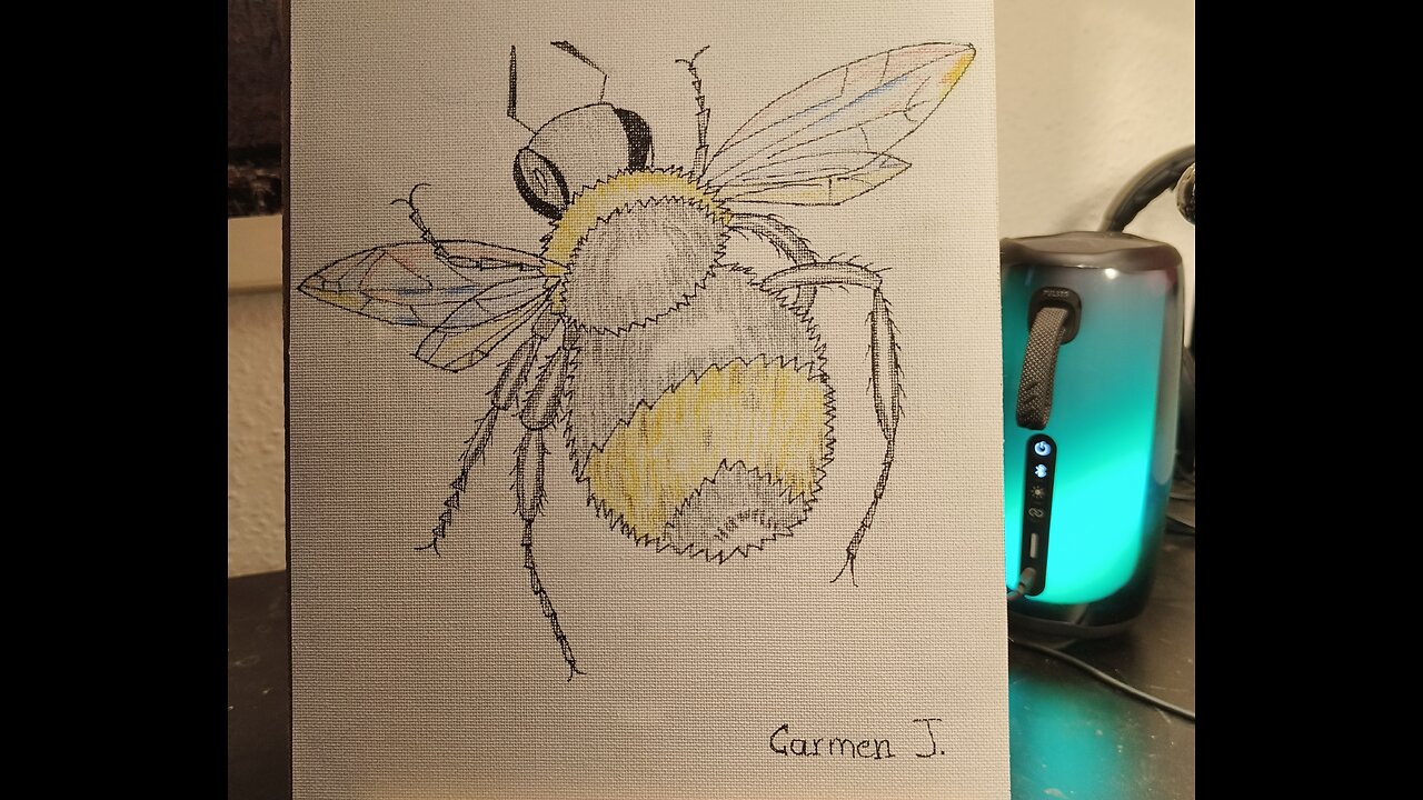 BUMBLEBEE - HUMLEBI - ABEJORRO
