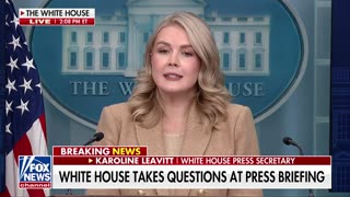 Karoline Leavitt confirms existence of ‘fake news portal,’ urges to ‘hold media accountable’