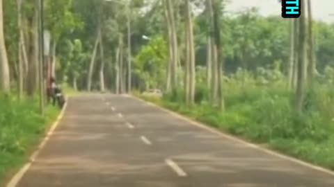Nature Therapy On The Road