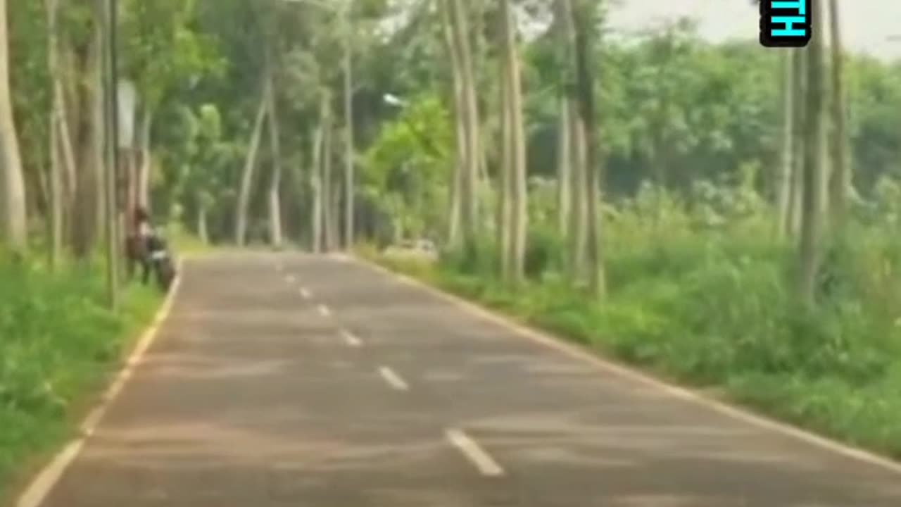 Nature Therapy On The Road