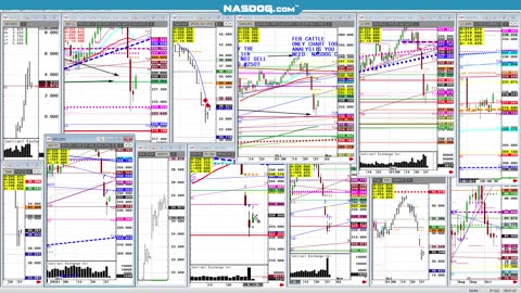Oct29 Cattle 6 days! funds sell, Argentina Melei maylay