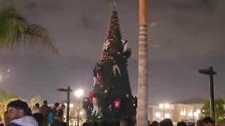Usual suspects climb the Christmas tree to destroy it. They have no respect for anything or anyone.