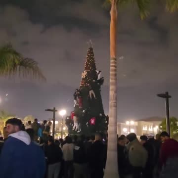 Usual suspects climb the Christmas tree to destroy it. They have no respect for anything or anyone.