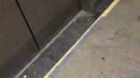 🚨👻 What's Causing This Elevator's Strange Noises? | TheHauntingHour