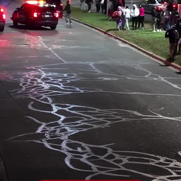 Massive 200+ Brawl Outside Of Dearborn MI Walmart